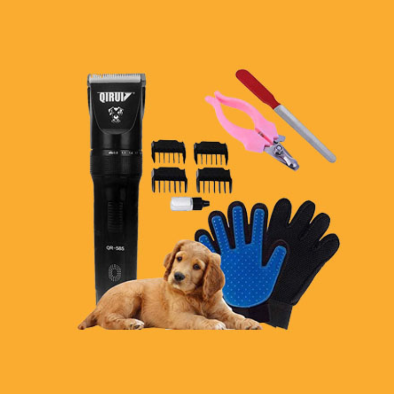 Kit Máquina Para Tosar Pet + Tesoura + Pente + Lixa Máquina Profissional Para Cachorro & Gato